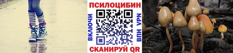 Галлюциногенные грибы прущие грибы где найти наркотики Ладушкин
